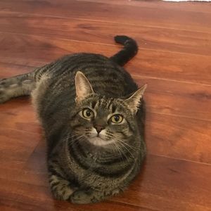 Meet your Posher, Christy